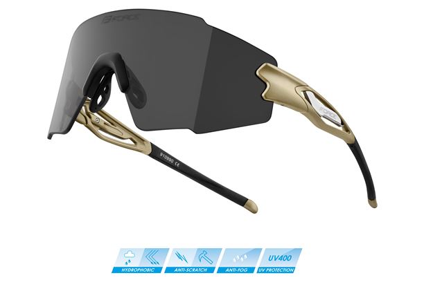 Picture of FORCE MANTRA gold, photochromic lens